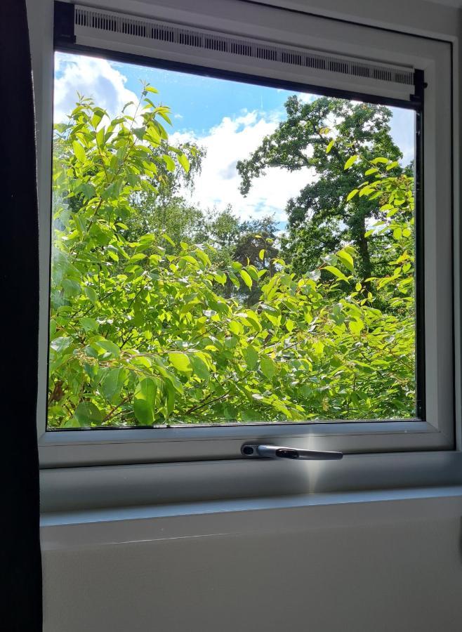 Lodge Goudvink Nunspeet Veluwe Zewnętrze zdjęcie