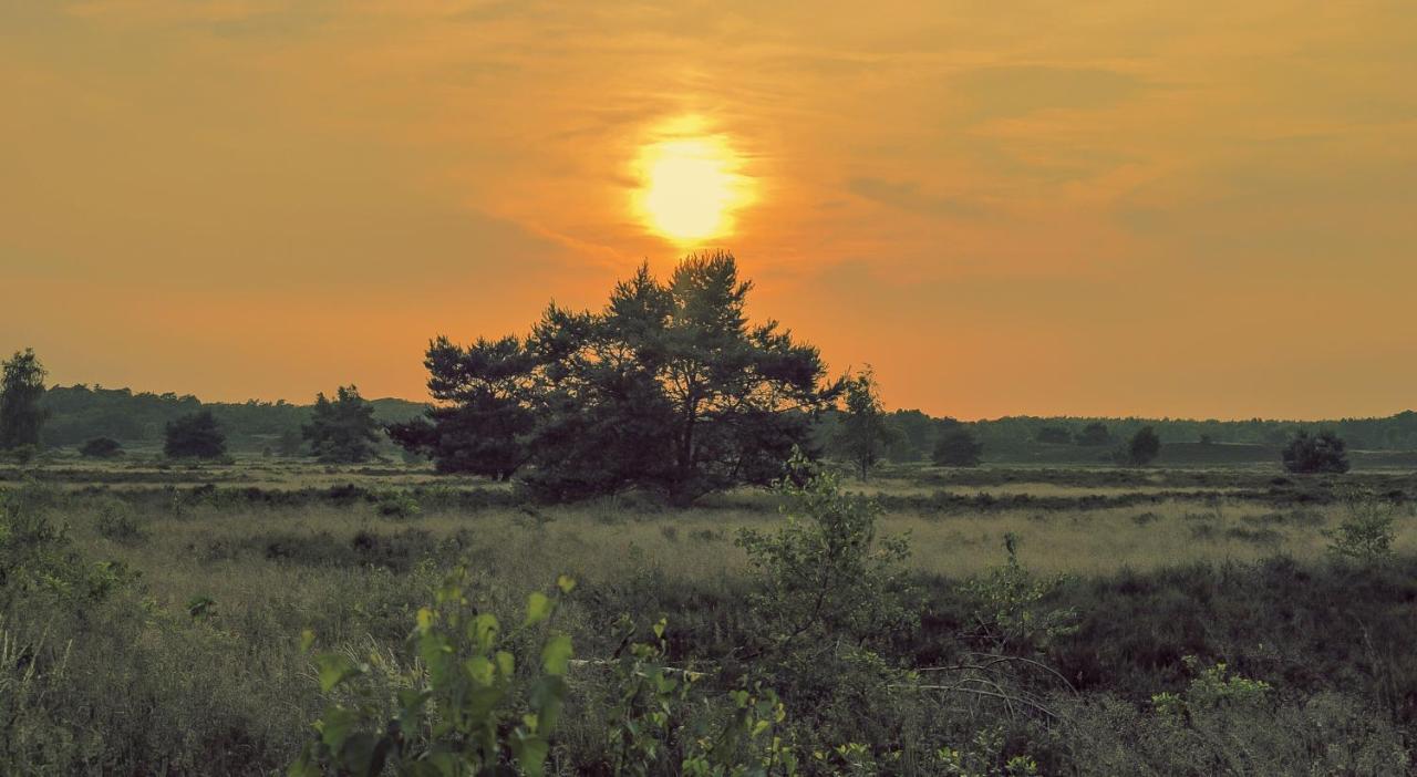 Lodge Goudvink Nunspeet Veluwe Zewnętrze zdjęcie