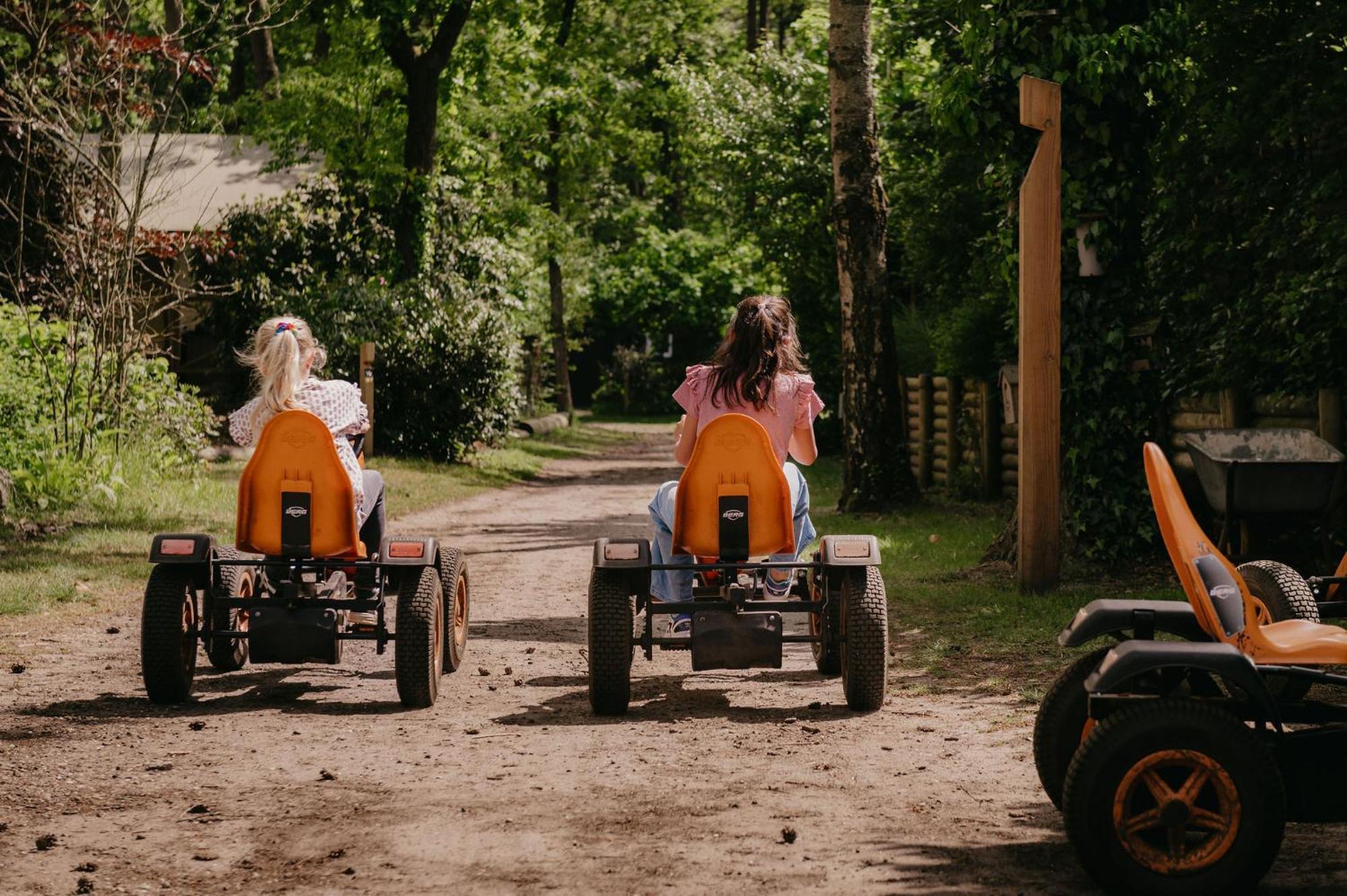 Lodge Goudvink Nunspeet Veluwe Zewnętrze zdjęcie