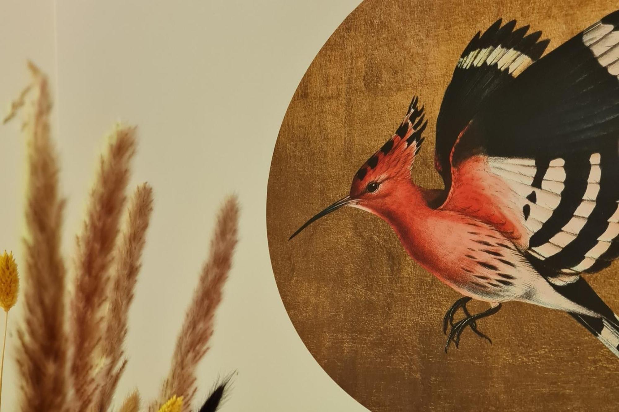 Lodge Goudvink Nunspeet Veluwe Zewnętrze zdjęcie