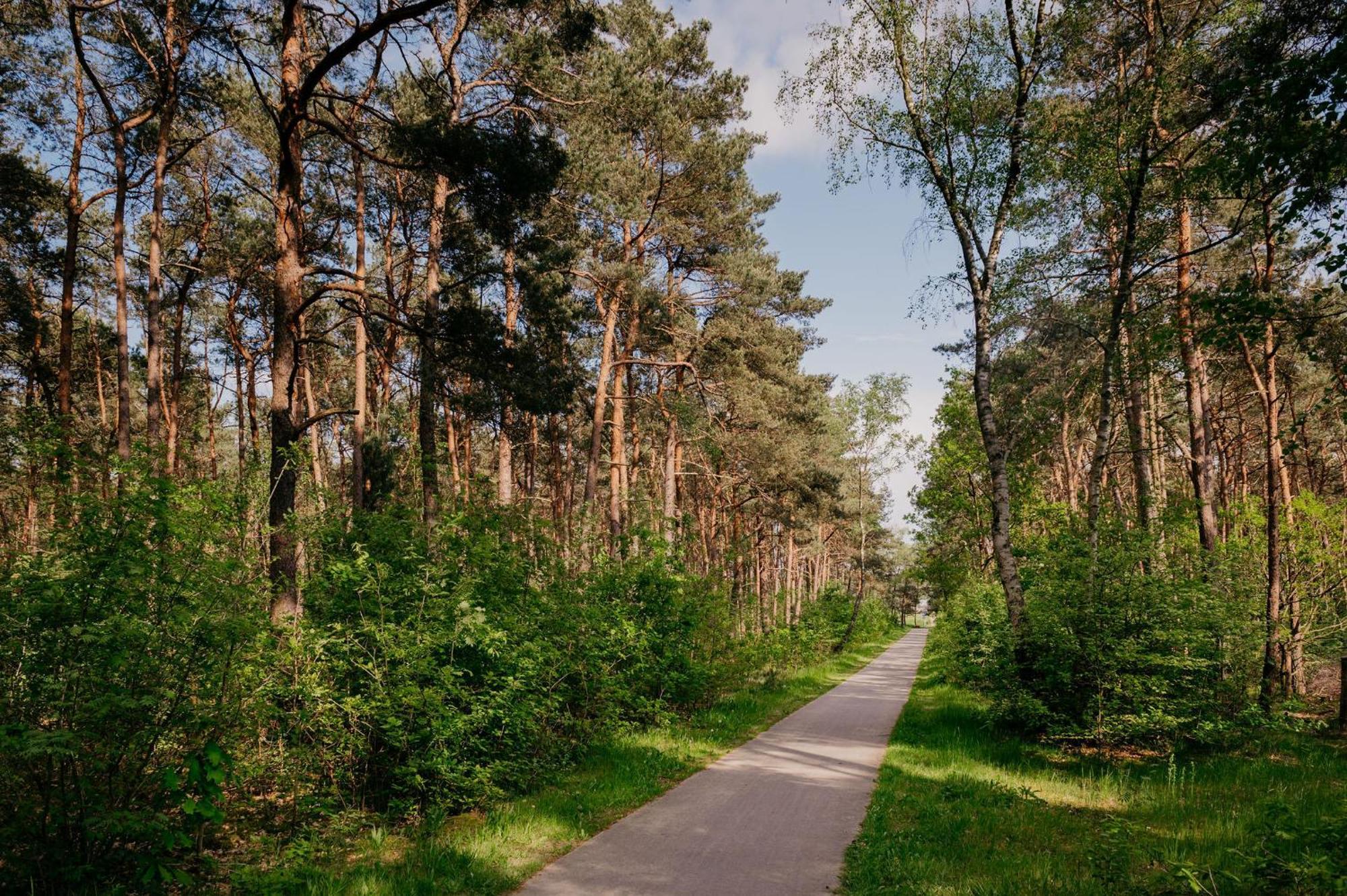 Lodge Goudvink Nunspeet Veluwe Zewnętrze zdjęcie